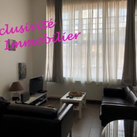 Salle de séjour-salon - appartement F3 bis avec mezzanine - Elbeuf - Exclusivité - ST Immobilier Elbeuf